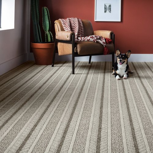 Anderson Tuftex Carpet Flooring Solutions